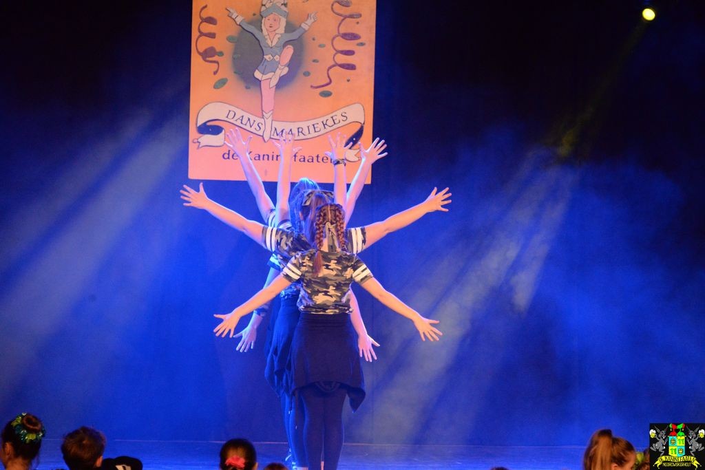 ../Images/Dansmarieke festival 2018 435.jpg